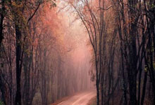 星空体育：在逆境中爆发！张帅：我常常受到樊振东的鼓舞.