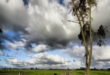 星空体育：全国人均体育场地面积“破.