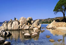 涉用致命武器袭击他人 小牛助理教练被捕.